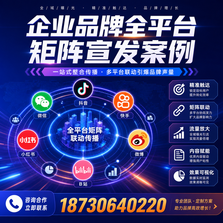 定安企业全平台自媒体品牌统一宣发落地案例